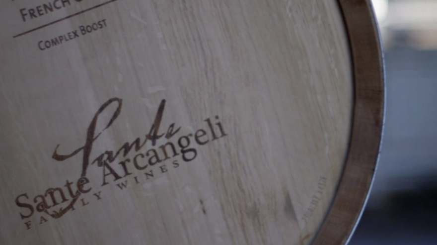 Sante Arcangeli Wines